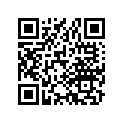 32105-389-670 Sub-wire B