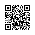 322-24160-00-00 EMBLEM ASY
