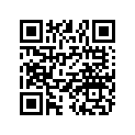 3221110 HYVO CHAIN
