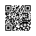 32349-812-010 SOCKETASSY.