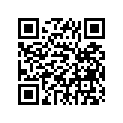 328-17251-00-00 