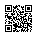 328-17411-00-00 