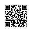 328-25171-00-00 BAR,TENSION