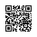 3280924 ASM-B1,BT,GPS,ORV,INTL
