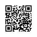 33001-1266-X3 Рычаг переключения, серебряный