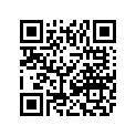 3301-025 CRANK CONNECTING ROD