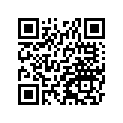 330321106 