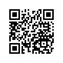 33034009 