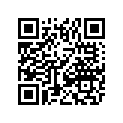 3306-124 SHIM,6.3*18-1.0