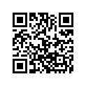 3306-966 SHIM T=3.00