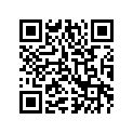 3307-441 TIRE RR 25*10.00-12 4PR