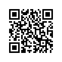 3307-577 STAY,FLAG