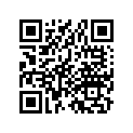 33101-147-671ZJ Rim,hd/lt *pb-31*