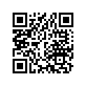 33107-300-003 Обод фары