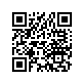33114-471-601 Hold,headligh.soc
