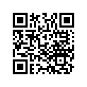33115-V09-A01 BULB(12VX25W)