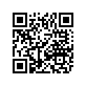 3313-884 BRG,BALL RADIL 6207-9C3