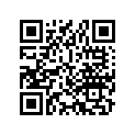 33400-358-671 Winker, right