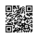33405-437-840 Socket comp.