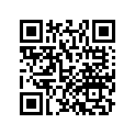 33412-MKN-D50 RUBBER, R.