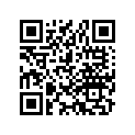 33417-445-631 Rubber, Fr.