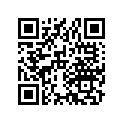 33605-388-000 Stopper, r. rr.