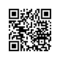 33607-331-000 Stay,r rr winker