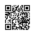 33607-405-000 Stay,l.rr.winker