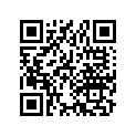 33609-179-700 Rubber b