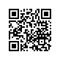 33630-MR7-600 Stay, L. Rr.