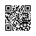 33641-167-010 Stay,r.rr.winker
