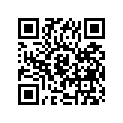 33651-11300-000 Band