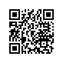 33660-168-013 CORD,L.WINKER