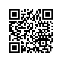33660-333-003 Socket, L. Rr.