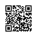 337-21110-00-33 FRAME