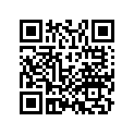 33731-KCZ-000 RUBBER,LICENCE LI