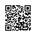 338-81300-10-00 FLYWHL MAGNETO ASY