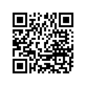 338001310 MAGNETO KEY