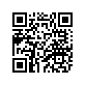 33D-21610-00-00 Крыло Заднее