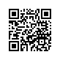 33D-23170-10-00 Картридж Амортизатора