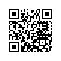 340031412 Holder-step