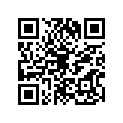 340241036 