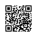 340241038 