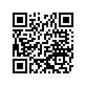 340241159 