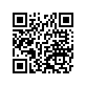 340281105 