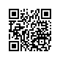 340281111 