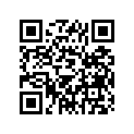 341-16321-03-00 . Plate, Friction