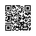341-84133-60-00 Кольцо/шайба