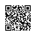 3411-240 DECAL,XT (DARK)