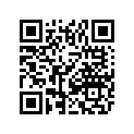 3411-501 DECAL,XT-CAMO